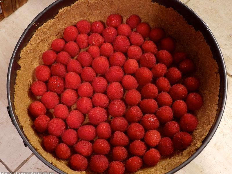 Granité de framboises